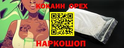 прущие грибы Кандалакша