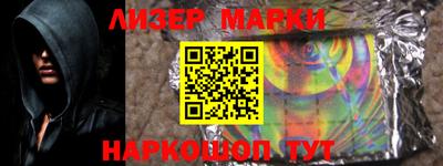 прущие грибы Кандалакша