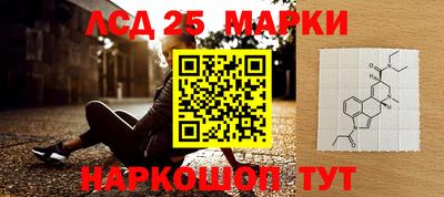 прущие грибы Кандалакша