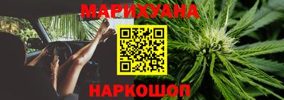 прущие грибы Кандалакша