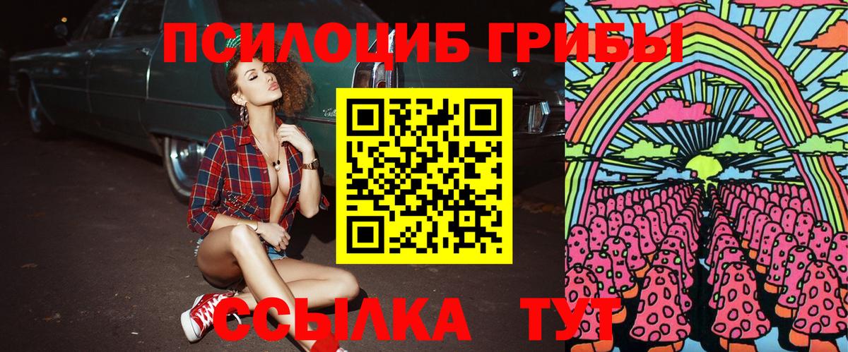 Мирный  Галлюциногенные грибы прущие грибы  где можно купить наркотик  Вход с VPN 
